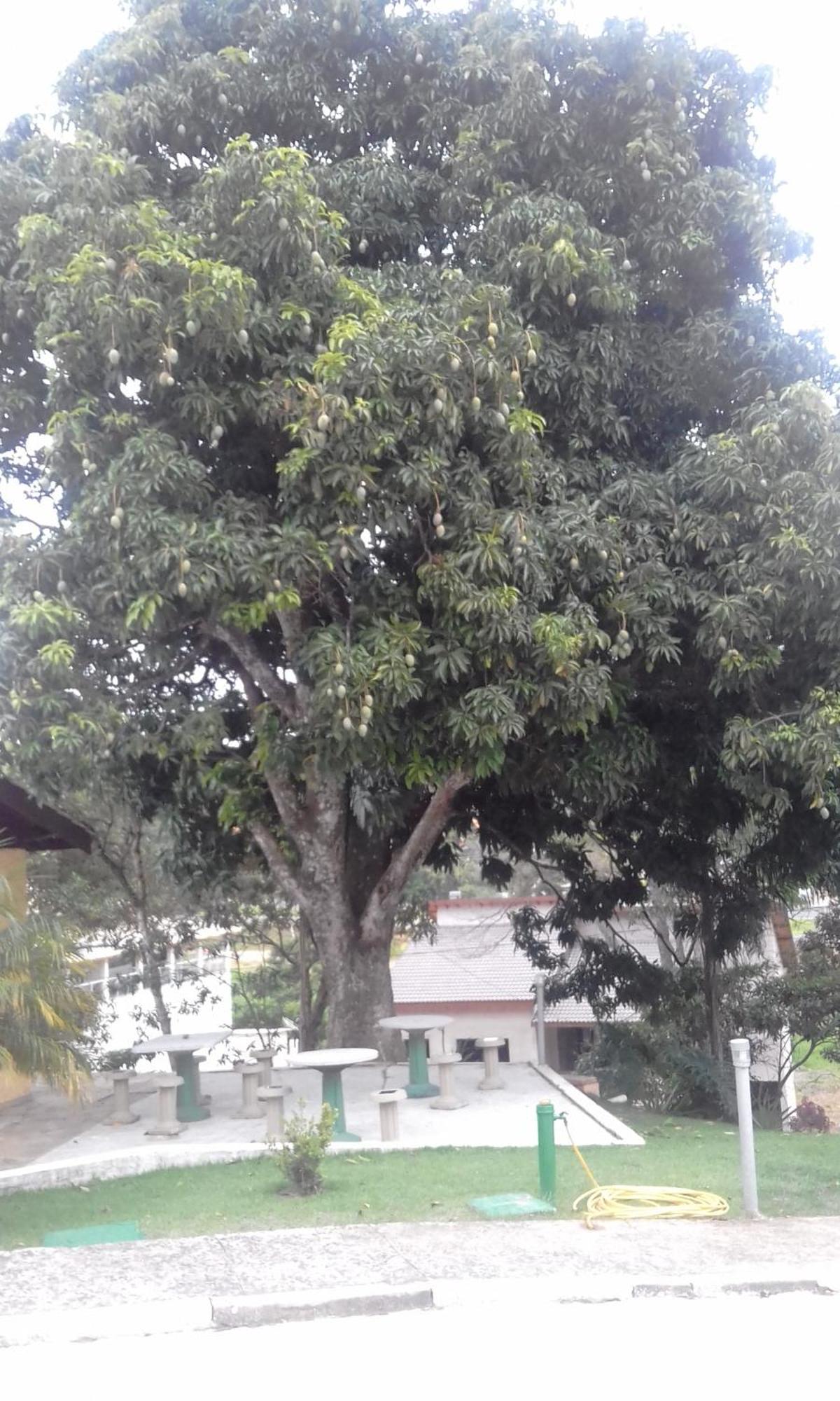 Hotel Pousada Gurupia Serra Negra  Luaran gambar